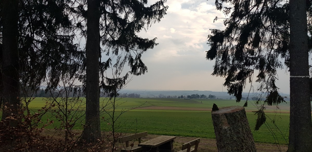 Rund um den Wetzstein 2019 (12 KM)